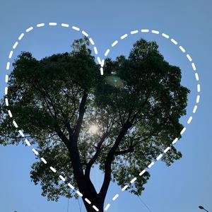 爱爱女学生在线
